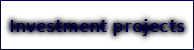 Investment projects